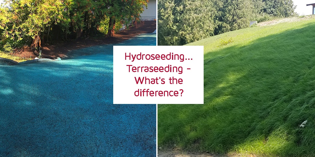 Hydroseeding... Terraseeding What's the difference?